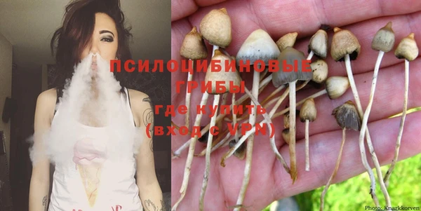 тгк Новокубанск