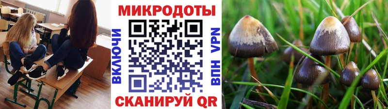 ссылка на мегу зеркало Ялуторовск Псилоцибиновые грибы мицелий где купить